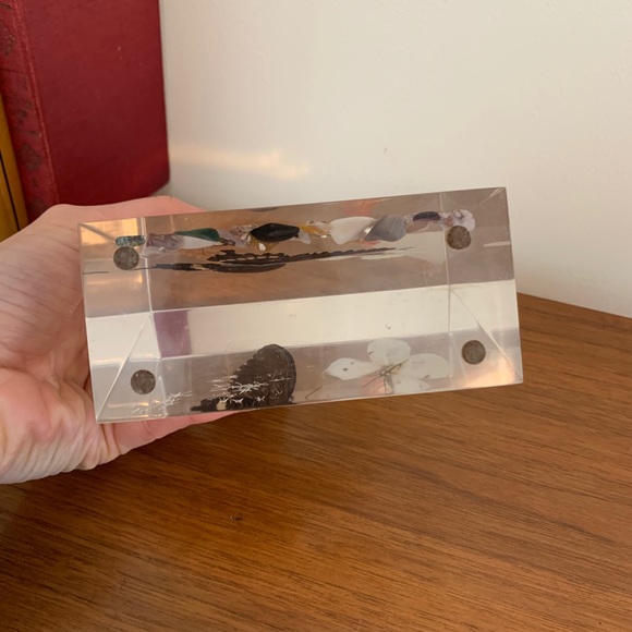 Vintage Lucite Pressed Butterfly Decor - Picture 8 of 11